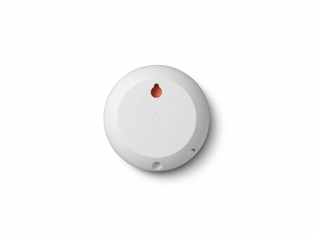 Google Nest Mini