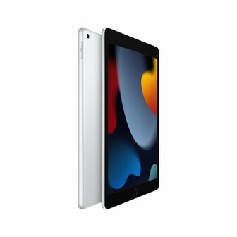 Apple iPad 64 GB 25,9 cm (10.2&quot;) Wi-Fi 5 (802.11ac) iPadOS 15 Zilver