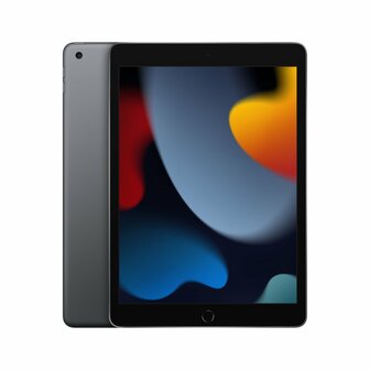 Apple iPad 256 GB 25,9 cm (10.2&quot;) Wi-Fi 5 (802.11ac) iPadOS 15 Grijs