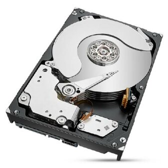 Seagate IronWolf Pro ST8000NT001 interne harde schijf 3.5&quot; 8 TB SATA III