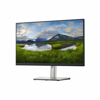 DELL P2422H 23.8&quot; | 1920x1080 IPS | 60Hz | Monitor | RFG