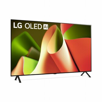 LG OLED B4 OLED48B46LA 121,9 cm (48&quot;) 4K Ultra HD Smart TV W