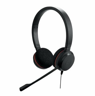 Jabra Evolve 20 MS Duo Bedraade USB-C On-Ear Headset (Zwart)