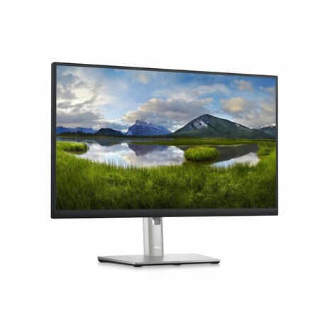 DELL P Series 24 USB-C-hubmonitor: P2423DE