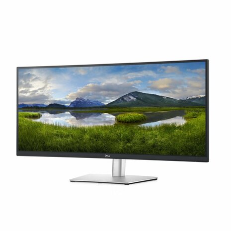 DELL P Series 34-inch gebogen USB-C-monitor - P3421W