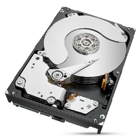 Seagate IronWolf Pro ST8000NT001 interne harde schijf 3.5" 8 TB SATA III