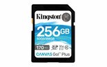 Kingston-Technology-Canvas-Go!-Plus-256-GB-SD-UHS-I-Klasse-10